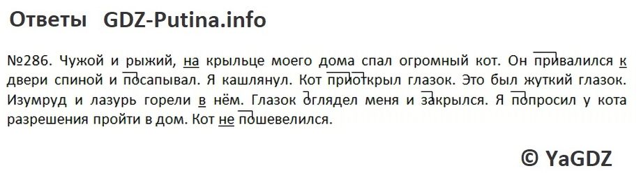 Чужой и рыжий на крыльце моего дома спал огромный кот